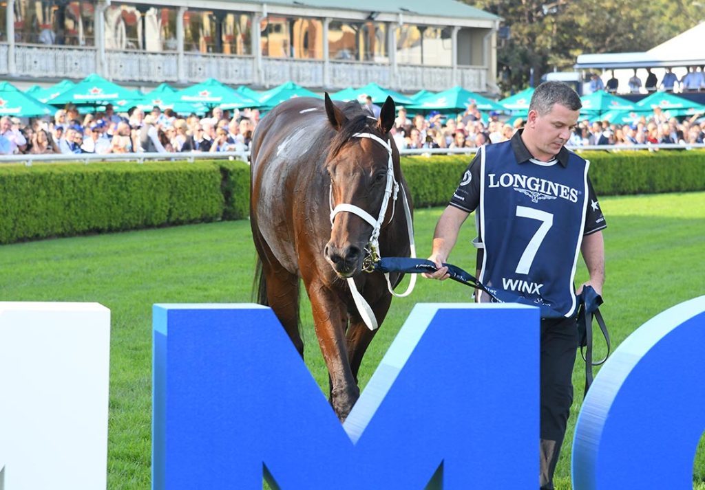 WINX Horse Official Chris Waller Racing