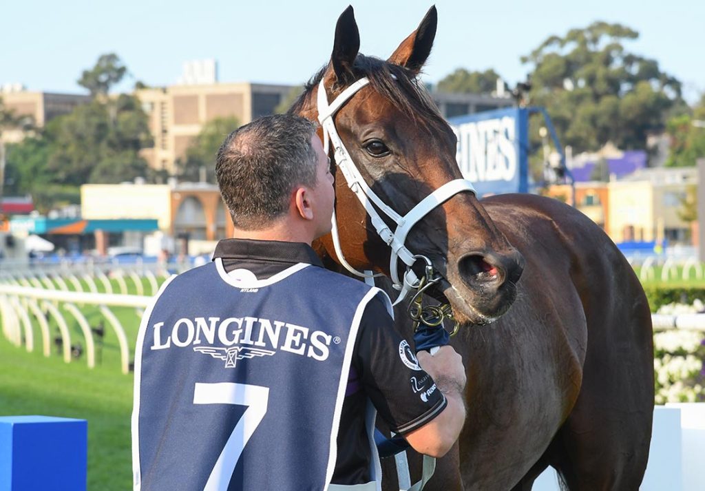 WINX Horse Official Chris Waller Racing