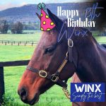 Winx 13th Birthday