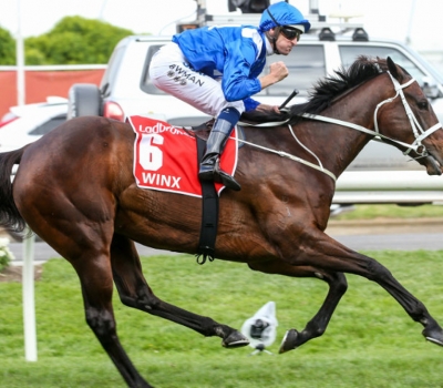 Winx Shows Steady Pace In First Barrier Trial Of 2019