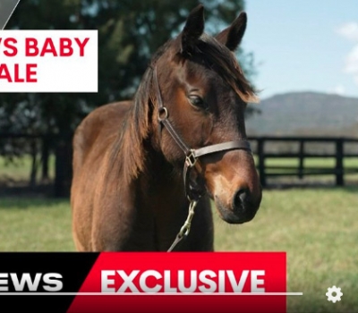 Winx owners to sell foal