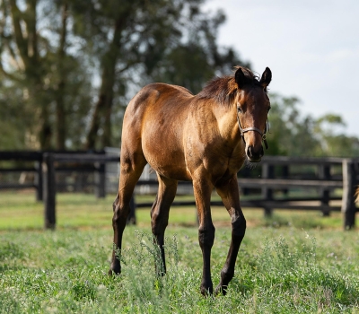 Winx  – 18 March Update